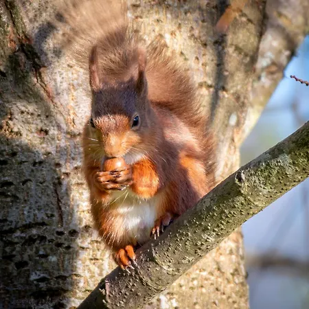 Lowthwaite Bed and Breakfast Watermillock